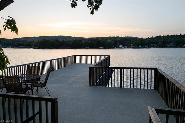 338 Fairfield Ct, Mount Gilead, NC 27306 - dock with a water view