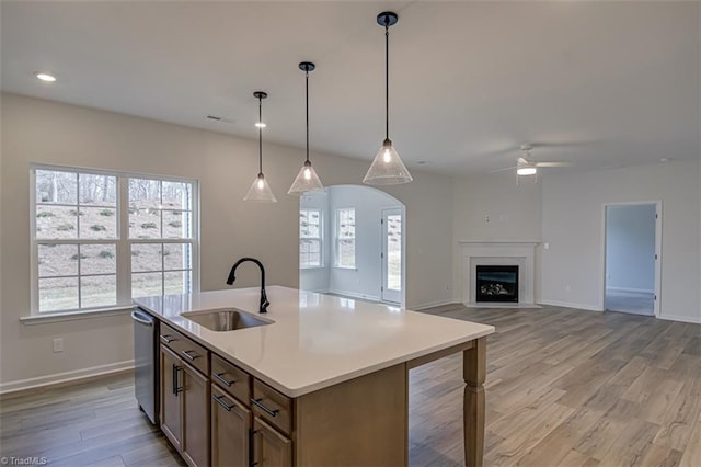 kitchen with a healthy amount of sunlight, stainless steel dishwasher, light wood finished floors, and a sink