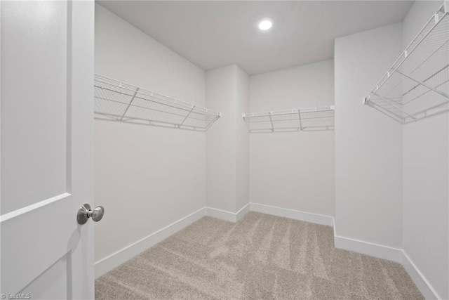 spacious closet featuring light carpet