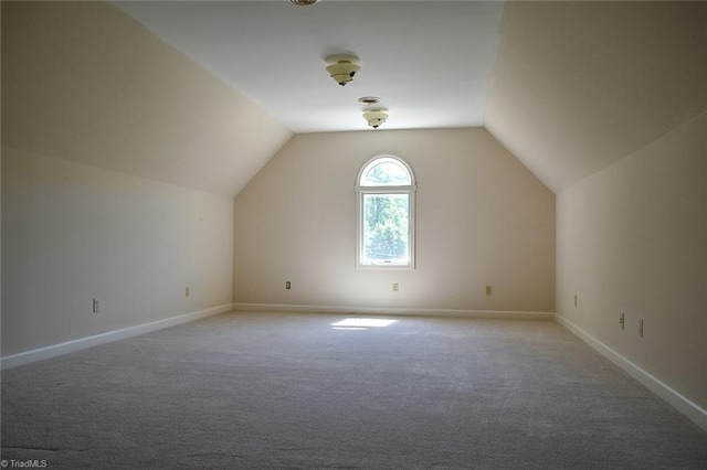 590 Turner Mountain Rd, Mount Airy, NC 27030 - bonus room featuring carpet and lofted ceiling