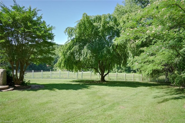 590 Turner Mountain Rd, Mount Airy, NC 27030 - view of yard