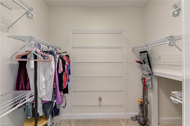 160 Serenity Pointe Dr, Kernersville, NC 27284 - view of walk in closet