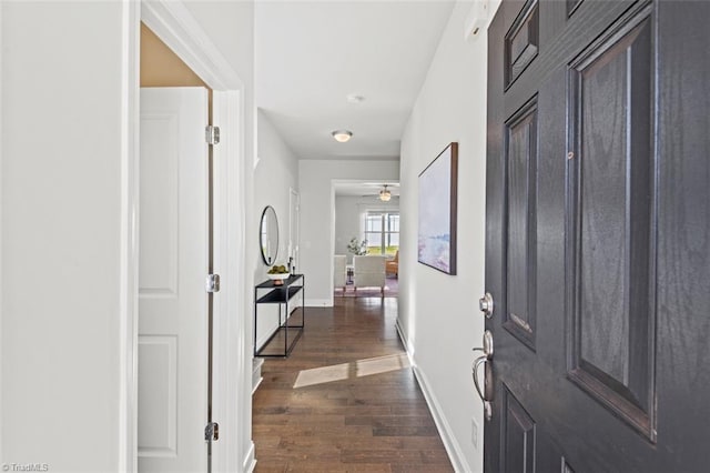 foyer featuring dark hardwood / wood-style floors and ceiling fan