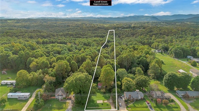 aerial view with a mountain view