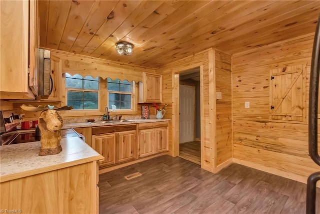 kitchen featuring light brown cabinets, dark wood-type flooring, wood walls, and sink