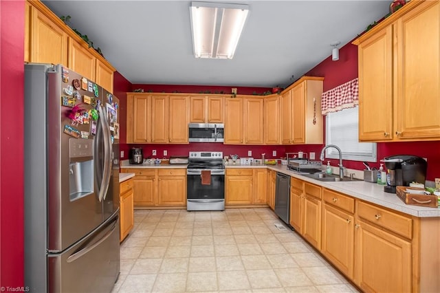 kitchen with appliances with stainless steel finishes and sink