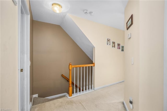 stairway featuring carpet floors and lofted ceiling