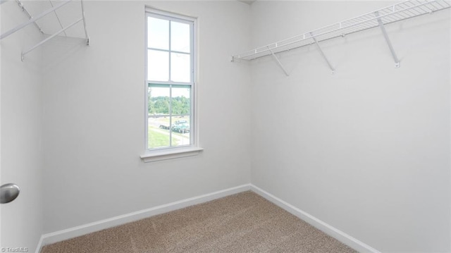 walk in closet featuring carpet