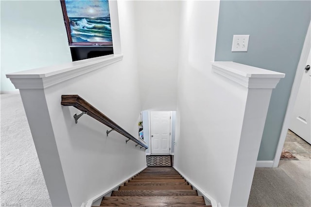 staircase with carpet floors