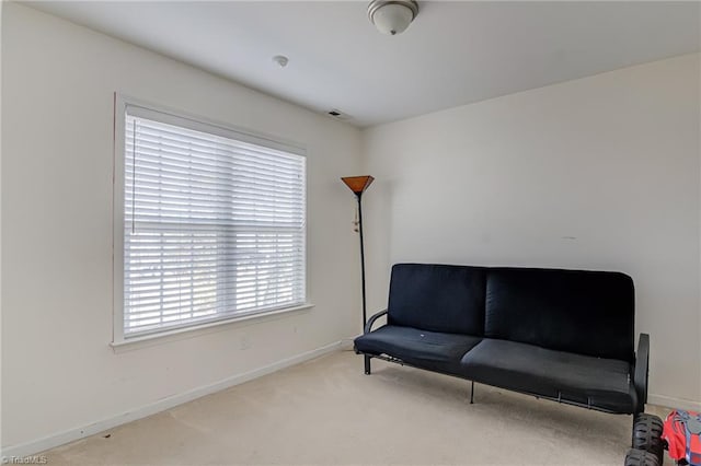 living area with carpet floors