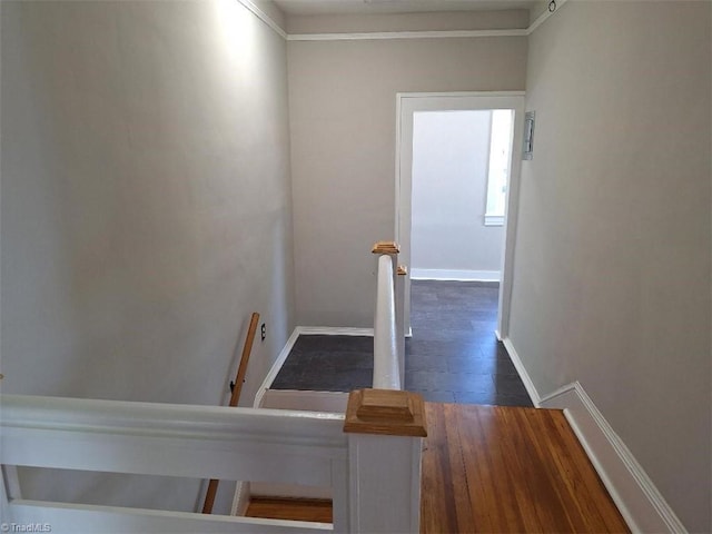 staircase with wood-type flooring