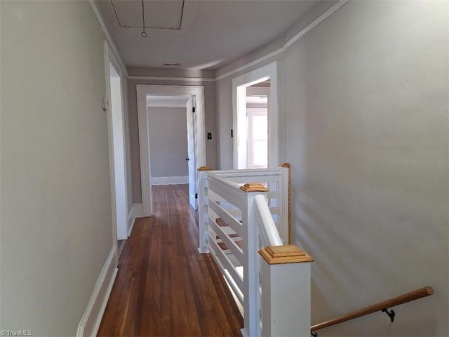 hallway with ornamental molding and dark wood-type flooring