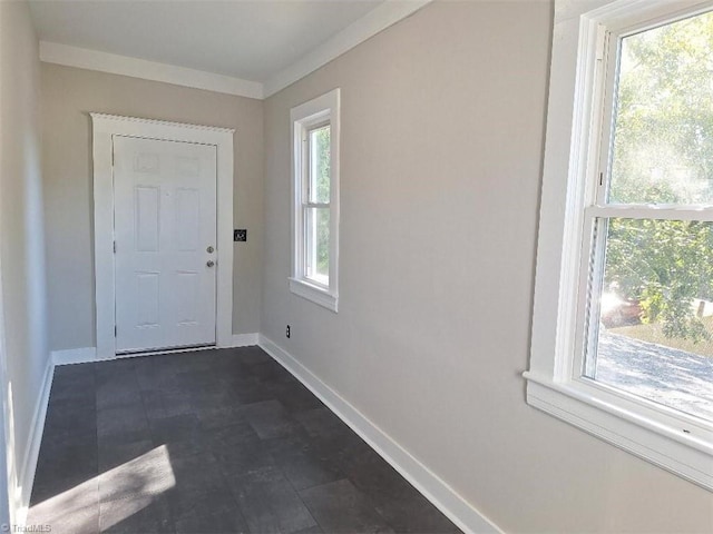 doorway to outside featuring crown molding and a wealth of natural light