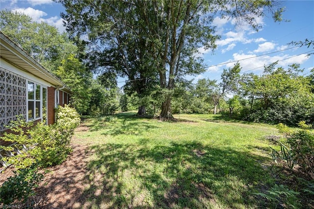 610 Frye Bridge Rd, Clemmons, NC 27012 - view of green lawn