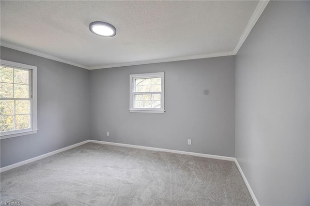 carpeted empty room featuring a textured ceiling and crown molding