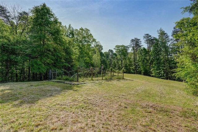 view of yard with a wooded view