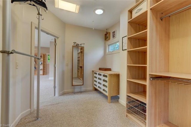 interior space with light colored carpet