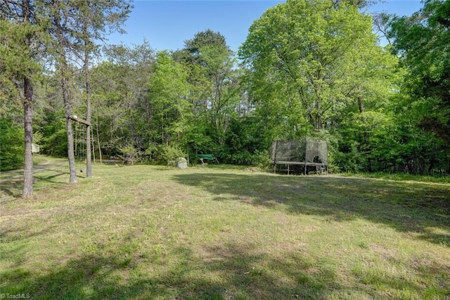 view of yard featuring a view of trees and a trampoline