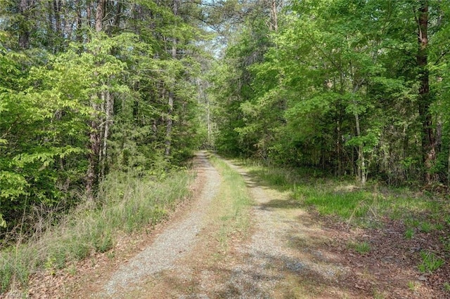 view of road featuring a view of trees