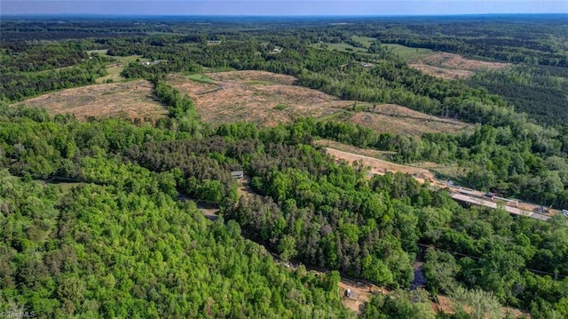bird's eye view with a forest view