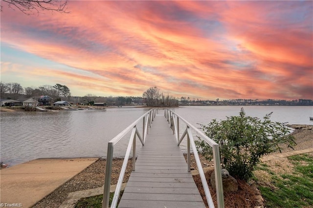 dock area with a water view