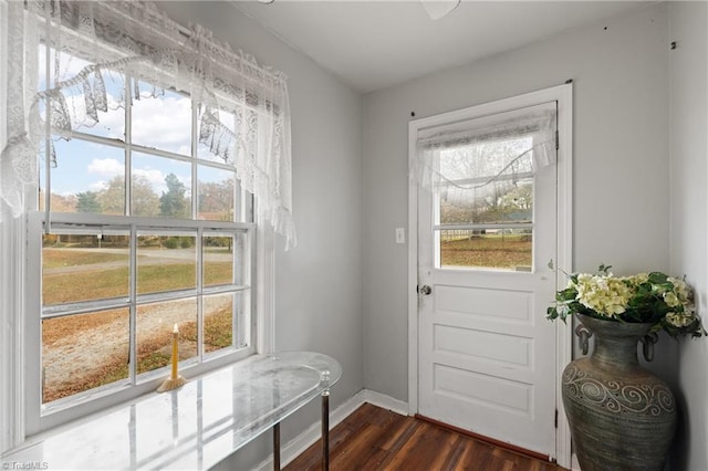 doorway to outside featuring dark hardwood / wood-style flooring