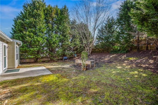 view of yard featuring a patio