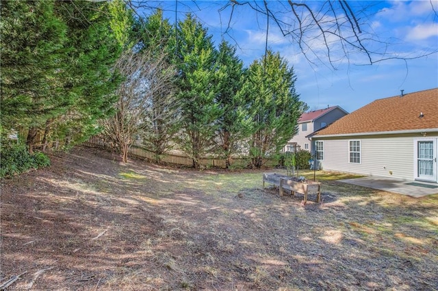 view of yard featuring a patio