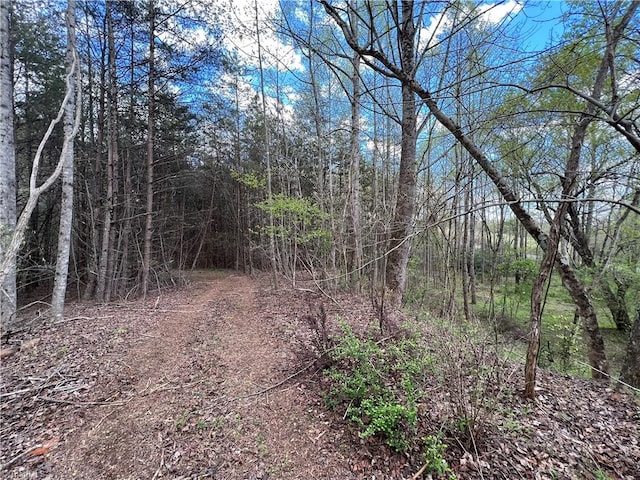 Listing photo 3 for TBD Wandering Walk Road, Lowgap NC 27024