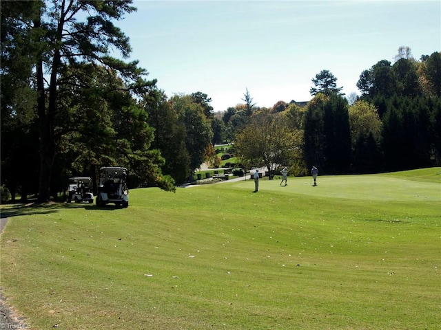 surrounding community featuring a yard