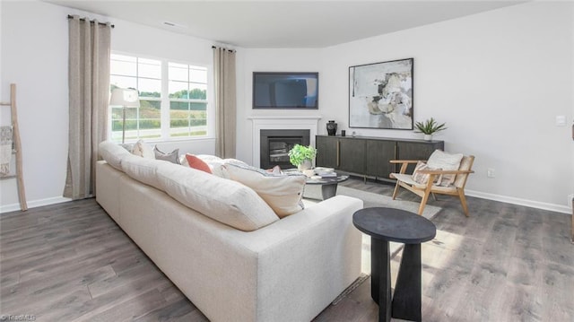 living room with wood finished floors, baseboards, and a glass covered fireplace