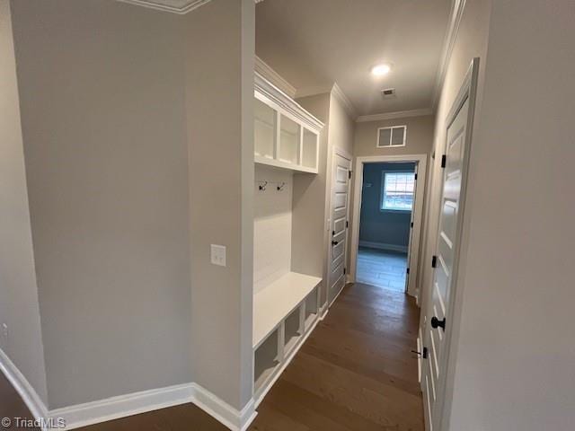 mudroom with crown molding and dark hardwood / wood-style flooring