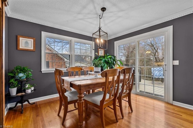 dining space with light wood-type flooring, a textured ceiling, and crown molding