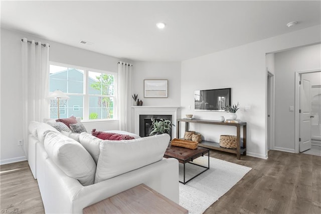 living room with wood-type flooring