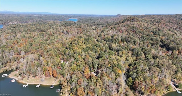 bird's eye view with a forest view and a water view