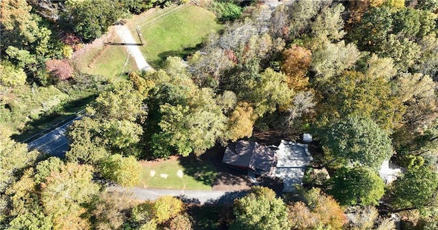 drone / aerial view