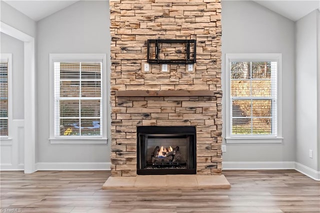 details featuring wood-type flooring and a fireplace