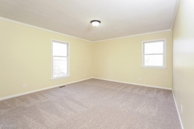 empty room with crown molding, a wealth of natural light, light colored carpet, and a textured ceiling