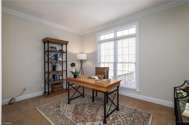 home office featuring carpet floors and ornamental molding