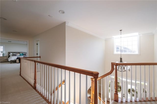 hall with an inviting chandelier, crown molding, and carpet flooring