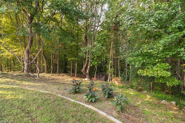 8602 Yvonne Ct, Oak Ridge, NC 27310 - view of yard with a forest view