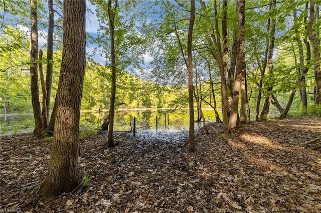 view of water feature featuring a wooded view
