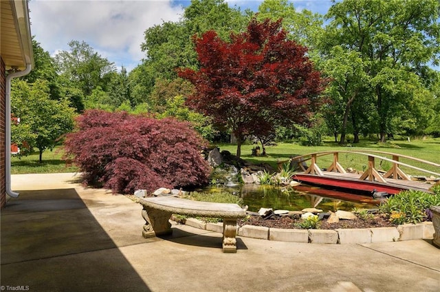 view of community with a patio, a yard, and view of wooded area