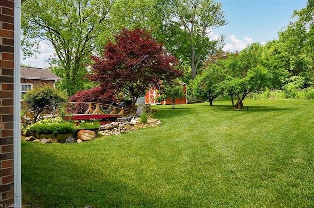 view of grassy yard