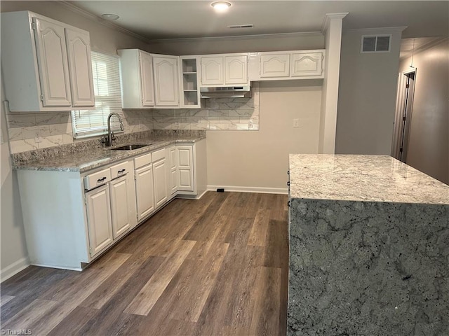 kitchen featuring sink, white cabinetry, crown molding, and dark hardwood / wood-style floors