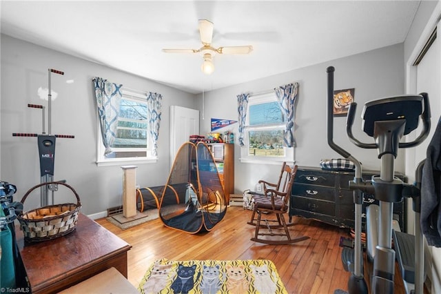 exercise room with wood-type flooring, a wealth of natural light, and ceiling fan