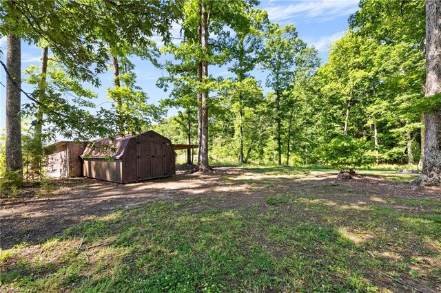 view of yard with a storage unit and an outdoor structure