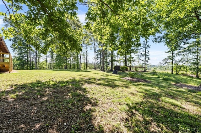 view of green lawn