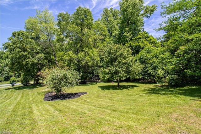 2370 W Clemmonsville Rd, Winston-Salem, NC 27127 - view of green lawn
