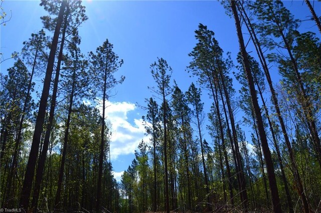 230 Dibrell Rd, Pelham, NC 27311